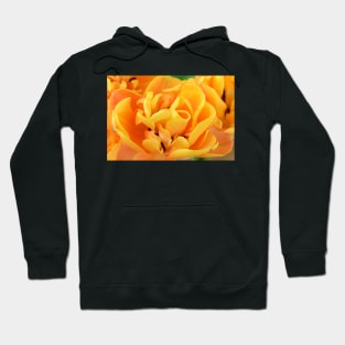 Tulipa  'Freeman'    Double Late Group Tulip Hoodie